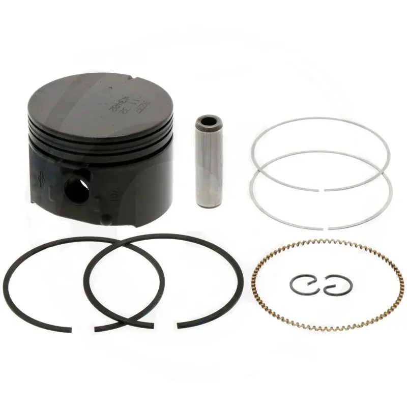 Cenová Bomba Pístní sada STD Briggs & Stratton 795691 Original