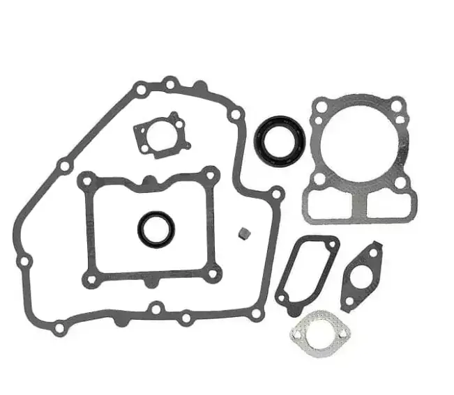 Sada těsnění motoru 793623 Briggs & Stratton pro model 10 Nová Kolekce