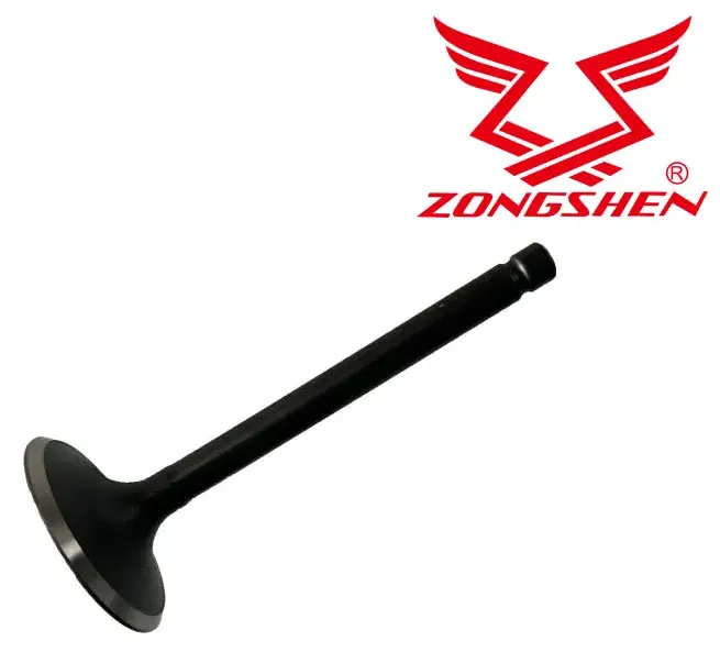 Nízká Cena Sací ventil ZONGSHEN XP550, XP620