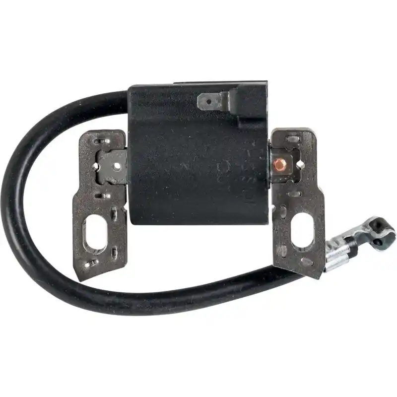 Koupit Online Zapalování pro Briggs & Stratton 595554, 793449, 796499