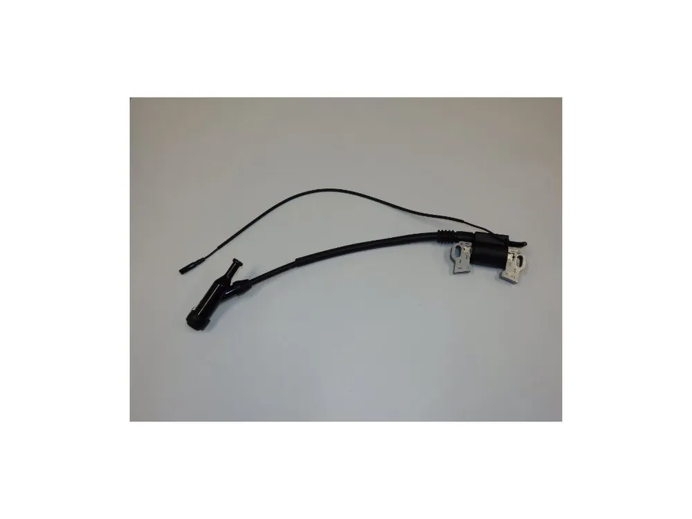 Ignition coils Kup Teď