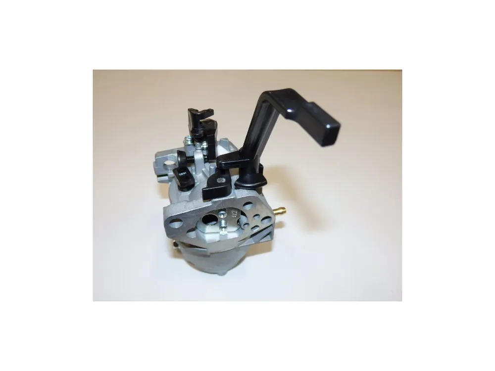Carburetor assy Doprava Zdarma