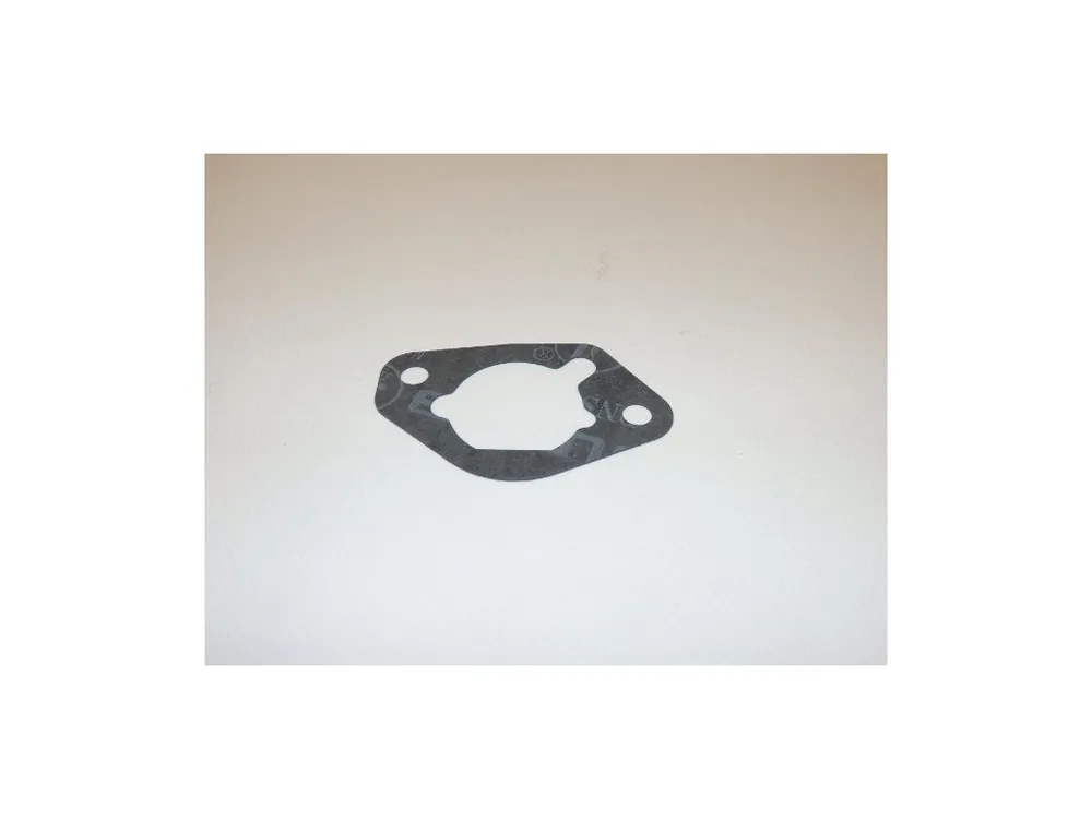 Gasket air cleaner Novinka
