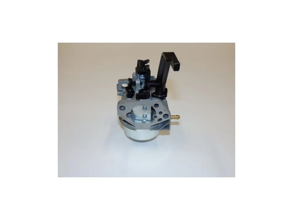 Originální Carburetor assy