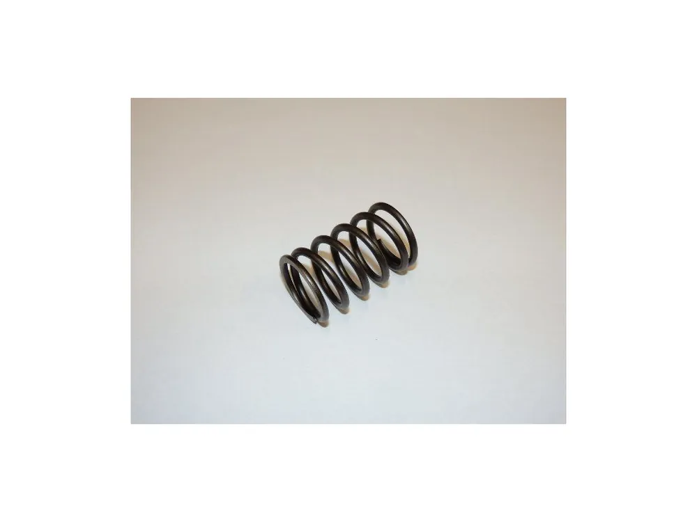 Koupit Online Spring valve