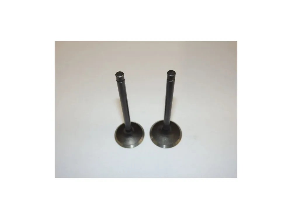 Ihned K Objednání Valve set