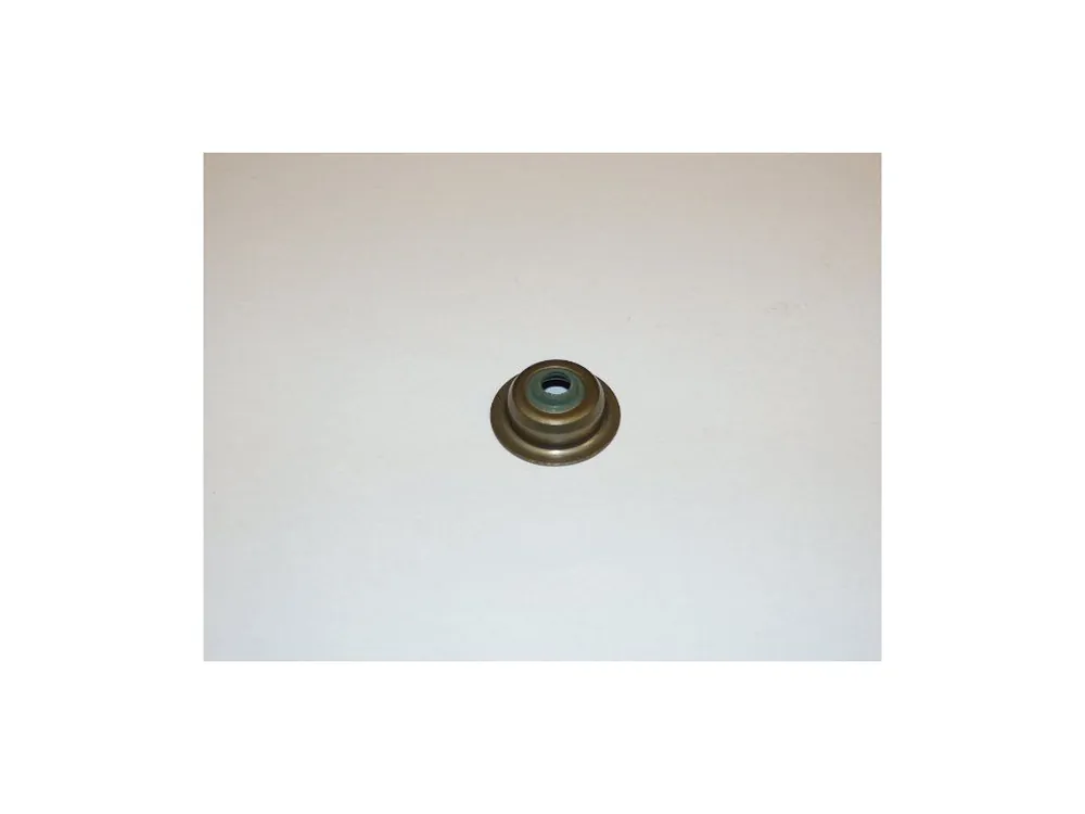 Originální Guide seal