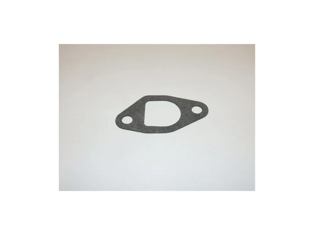 Gasket inlet Nová Kolekce