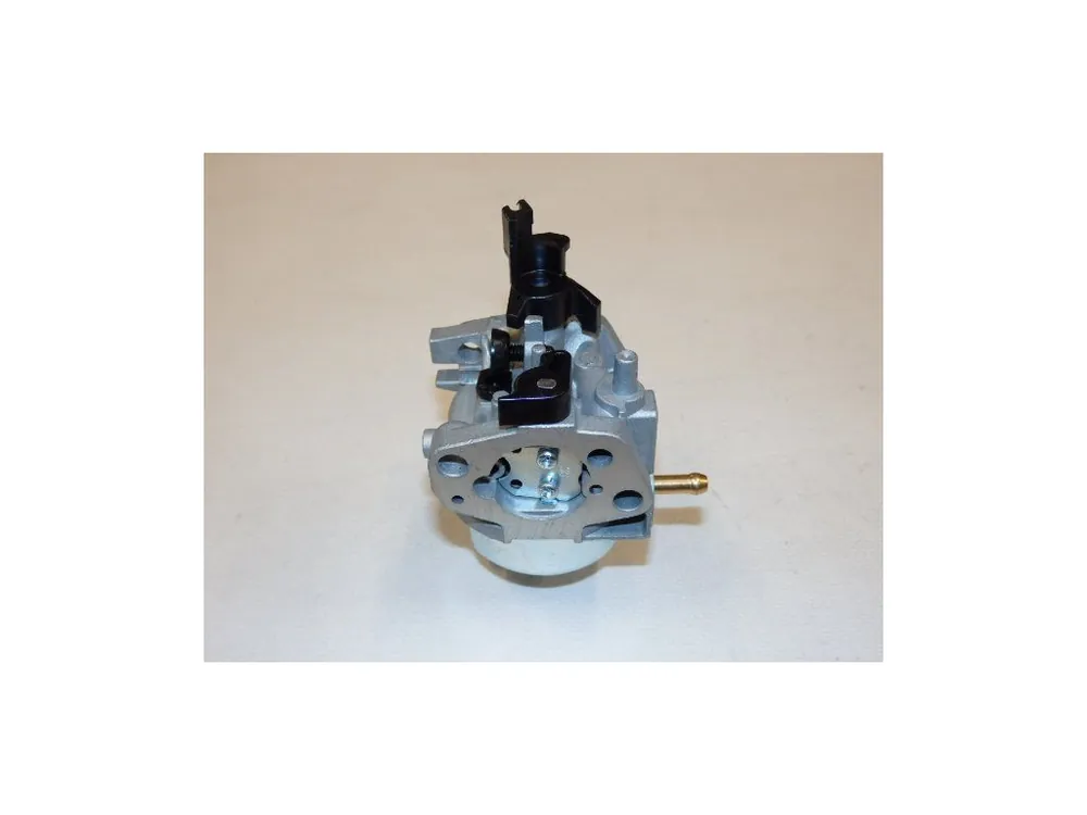 Kup Teď Carburetor assy