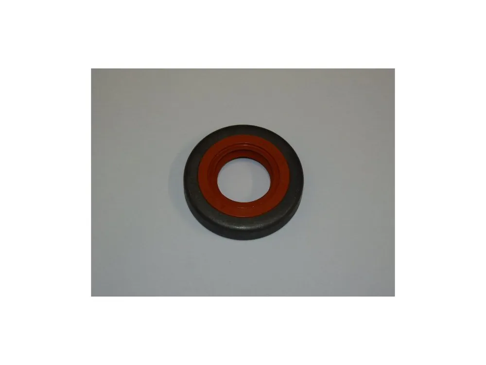 Seal 15x30x5,5 Odeslání Ihned